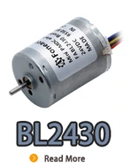 BL2430i, BL2430, B2430m, 24 mm kleiner innerer rotor bürstenloser DC -Elektromotor.webp