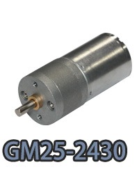 GM25-2430 kleiner Stirnrad-Gleichstrom-Elektromotor.webp